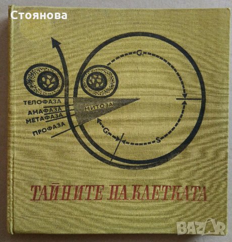 Книги по биология "Тайните на клетката" и "От яйцето до възрастния организъм", снимка 2 - Специализирана литература - 28034925