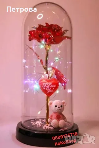 Роза в стъкленица с мече и сърце/роза в стъкленица/вечна роза