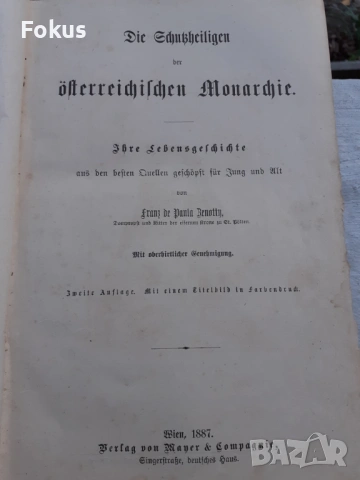 МНОГО СТАРА НЕМСКА БИБЛИЯ 1887 ГОДИНА, снимка 4 - Антикварни и старинни предмети - 53479194