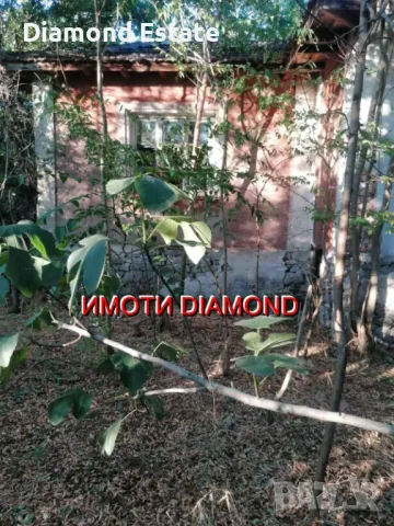 Къща в село Сталево, общ. Димитровград, снимка 5 - Къщи - 47758687