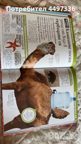 енциклопедия, снимка 2 - Енциклопедии, справочници - 51510591