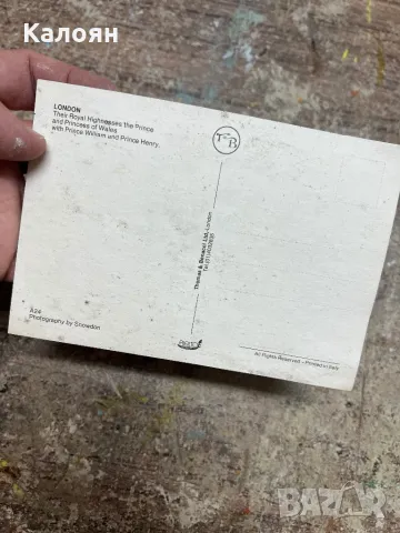 Картичка кралското с кралското семейство, снимка 2 - Колекции - 49418402