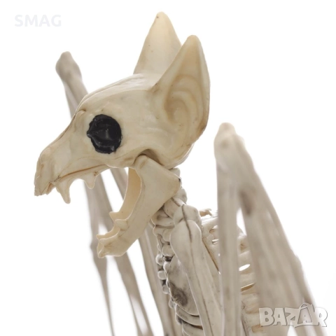 Halloween / Хелоуин реалистичен скелет на прилеп – лепяща декорация_1207605, снимка 2 - Декорация за дома - 52008627