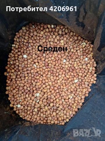 Продавам лешници на ядка 22лв., снимка 3 - Домашни продукти - 52718065