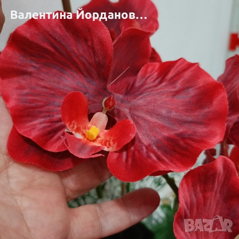 реалистична изкуствена орхидея в керамична кашпа , снимка 3 - Други - 52293089
