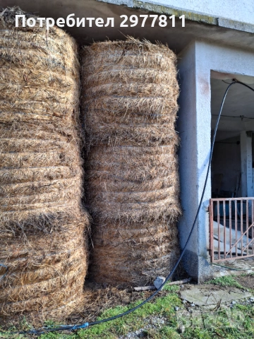 Бали сено 300кг, снимка 2 - Други стоки за животни - 53108217