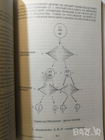 Теория на енергийния обмен Обща част Спас Мавров, снимка 5 - Езотерика - 32553103