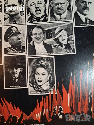 колекционерска грамофонна плоча с речи на Хитлер 34/1, снимка 6 - Колекции - 53573967