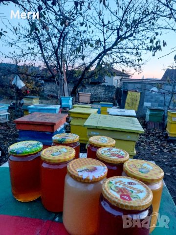 Продавам домашен пчелен мед.Собствено произвдоство.Гарантирано качество.Без добавки., снимка 2 - Пчелни продукти - 39311531