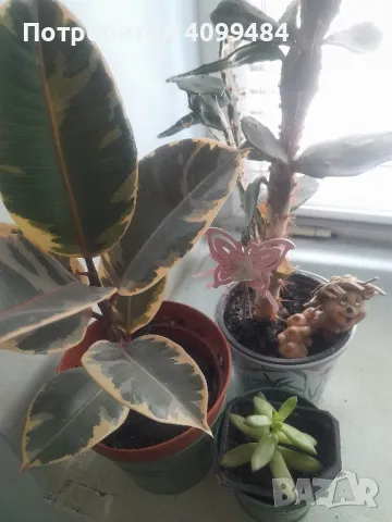 Предлагам икебана от три вида цветя, снимка 1