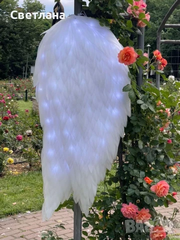 Светещи крила за танци, фотосесии и шоу программи , снимка 6 - Други - 50512484