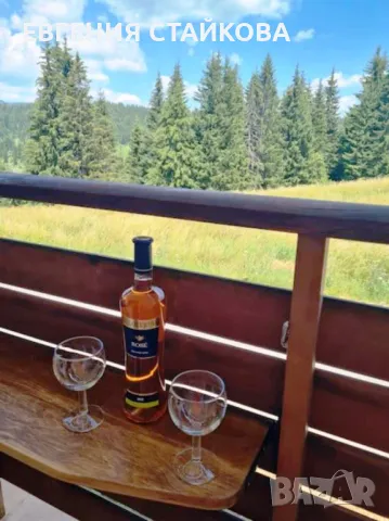 Студио"PANORAMA MOUNTAIN", до ски писта Пампорово - Стойките, снимка 6 - Стаи под наем - 48426022