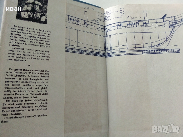 Пътешествие около света с кораба "Бигъл" - Чарлз Дарвин - 1967 г., снимка 2 - Енциклопедии, справочници - 36395175