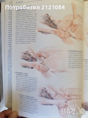  Масаж: Пълно ръководство за източни и западни масажни техники, снимка 6 - Специализирана литература - 51644111
