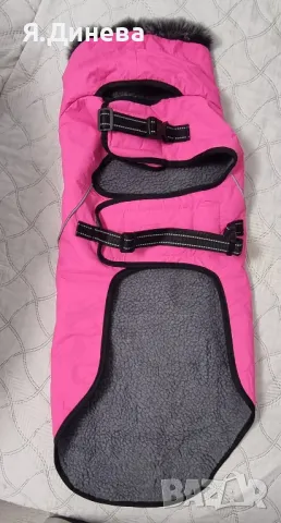 Яке за куче в розов цвят 