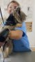 Подстригване и къпане на кучета и котки, снимка 1 - Ветеринари и услуги - 4649618