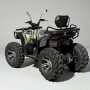 Бензиново АТВ/ATV 250cc/250 кубика Thunder Tourist (Водно Охлаждане), снимка 5