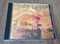 Компакт Дискове - Поп - Рок: Cyndi Lauper – True Colours, снимка 1