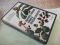 Книга"Горските плодове храна и лечебносредство-Б.Мичев"-376с, снимка 9