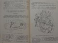 Книга Леки автомобили Рено София 1960 год Експлуатация и поддържане на Български език, снимка 8