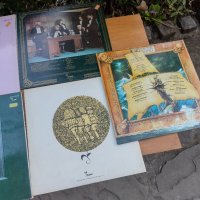 Jethro Tull  Vinyl 12-inch , снимка 11 - Грамофонни плочи - 40729599