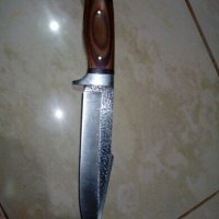 Ловен нож, снимка 1 - Ножове - 26830347