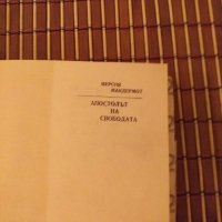 Апостолът на свободата, снимка 6 - Българска литература - 27424003