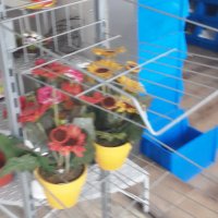 стелаж за разсади на колела - 7 кошници, снимка 4 - Градински цветя и растения - 40155242