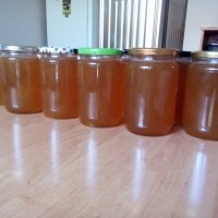отличен еко пчелен мед, снимка 1 - Пчелни продукти - 26424193
