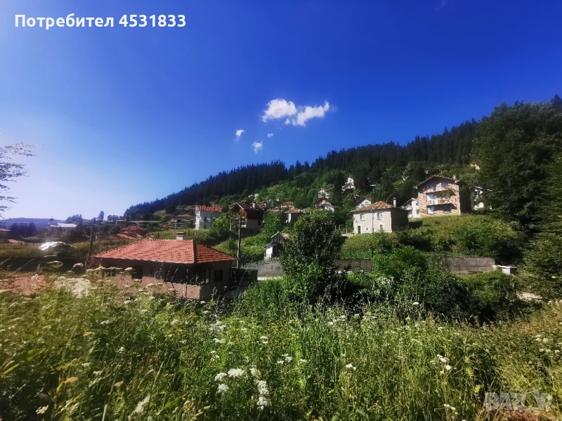 Имот в родопското с. Манастир, общ. Лъки, снимка 1