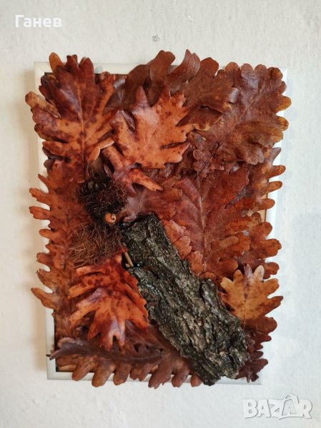 Жива картина със стабилизирани дъбови листа, снимка 1