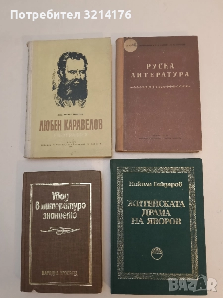 Руска литература - А. А. Зерчанинов, Д. Я. Райхин, В. И. Стражев, снимка 1