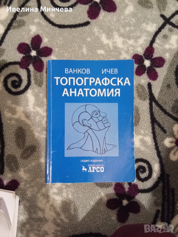 Топографска анатомия, снимка 1