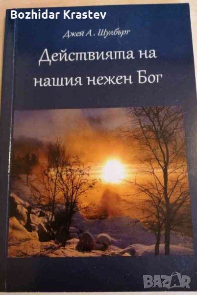 Действията на нашия нежен бог, снимка 1