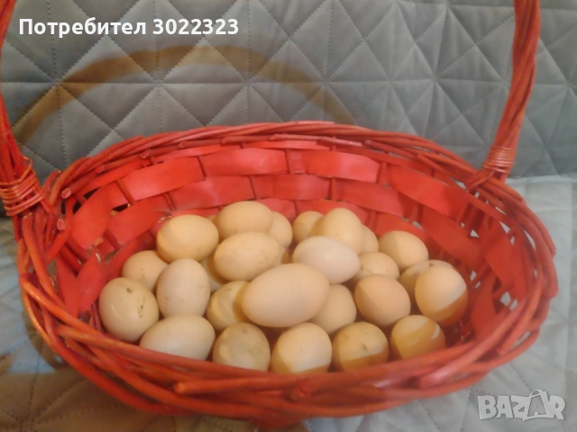 Домашни яйца, снимка 2 - Други - 53031074
