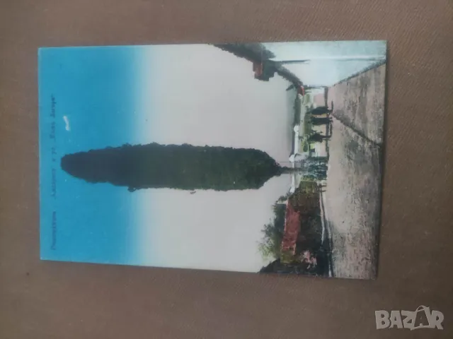 Продавам картички Охрид  3000 годишно дърво, Двореца и българската гимназия.Гюмюрджина - Кипариса, снимка 3 - Филателия - 47732037