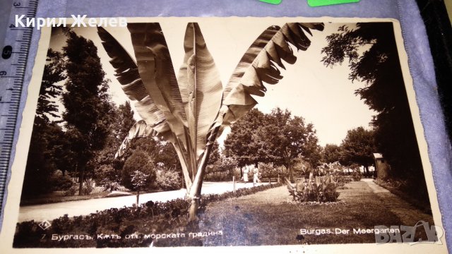 1937г. БУРГАС КЪТ от МОРСКАТА ГРАДИНА Фото ГРИГОР ПАСКОВ Стара ГРАДСКА ПОЩЕНСКА КАРТИЧКА РЯДКА 15234, снимка 7 - Филателия - 38724863