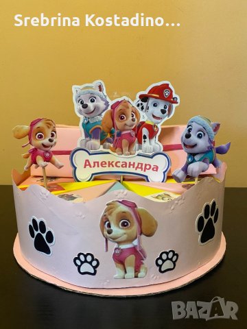 Картонена торта “Пес Патрул” Скай, снимка 2 - Други услуги - 33664013