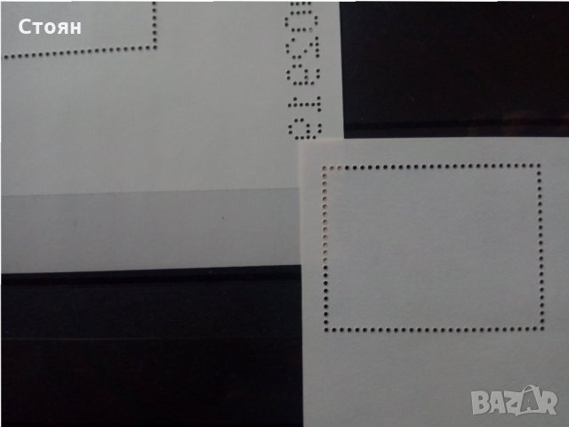 РЯДЪК КОМПЛЕКТ БЛОКОВЕ от 2018г. - жълто куче, снимка 4 - Филателия - 30601113