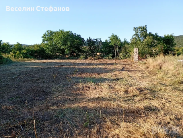 Парцел с.Ченге с.Аспарухово яз.Цонево, снимка 14 - Парцели - 46872104