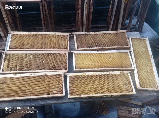 магазинни пити, снимка 3 - За пчели - 50167752