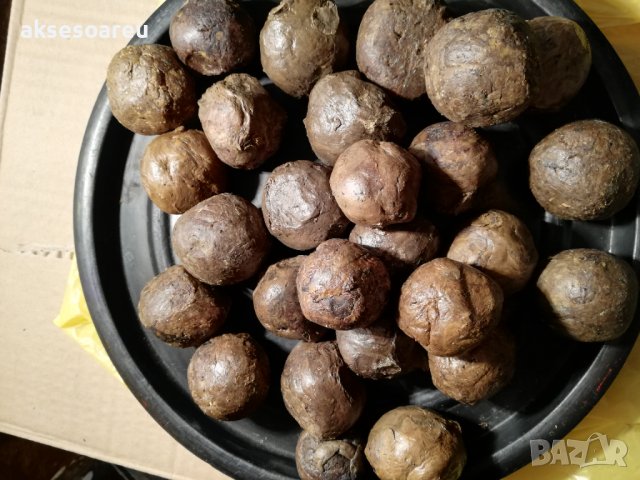 Продавам чист пчелен клей прополис без примеси Клеева тинктура пчелен мед и восък произведени в екол, снимка 18 - Пчелни продукти - 38159219