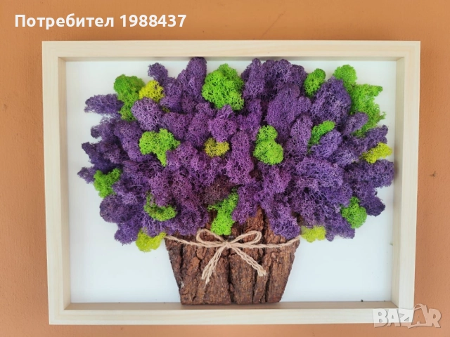 Картини /Подаръчета за повод от скандинавски мъх, снимка 7 - Декорация за дома - 52651329