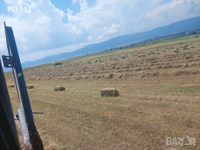 Продавам бали слама , снимка 11 - За селскостопански - 51257470