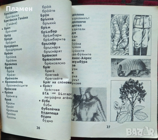 Речник за второ отделение Благовест Сендов, Розалина Новачкова, снимка 3 - Други - 51592060