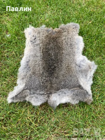 Заешки кожи, снимка 4 - Други - 48386626
