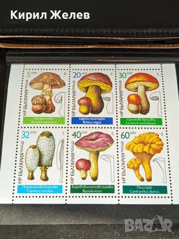 Пощенски марки чиста комплектна серия ГЪБИ поща НРБЪЛГАРИЯ за КОЛЕКЦИОНЕРИ 46344, снимка 8 - Филателия - 47769885