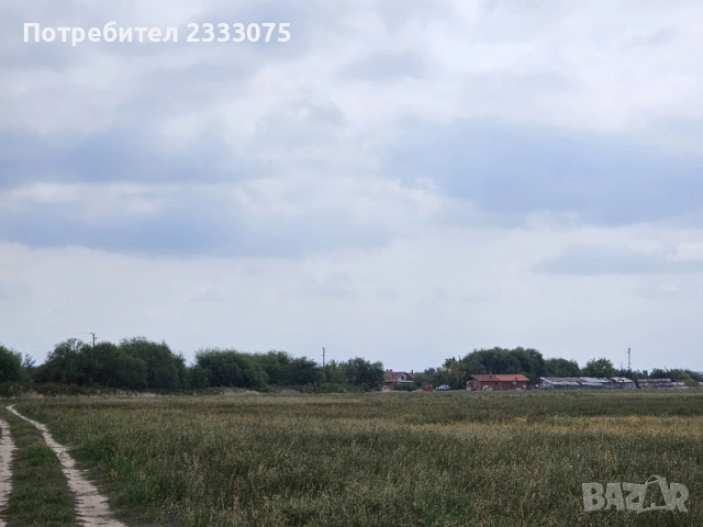 Продавам 12 дка земя в землището на с. Калековец, обл. Пловдив, снимка 7 - Земеделска земя - 53530297