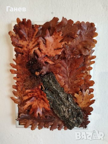 Жива картина със стабилизирани дъбови листа