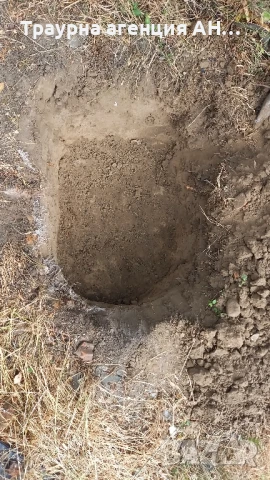 Погребение на домашни любимци, снимка 14 - Ветеринари и услуги - 8342370